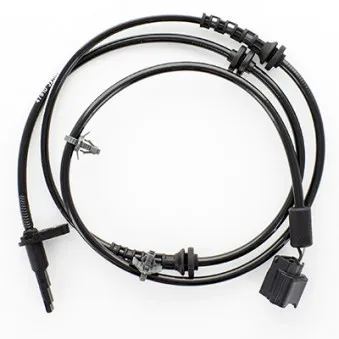 Capteur, vitesse de roue HOFFER