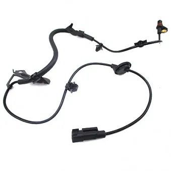 Capteur, vitesse de roue arrière droit HOFFER