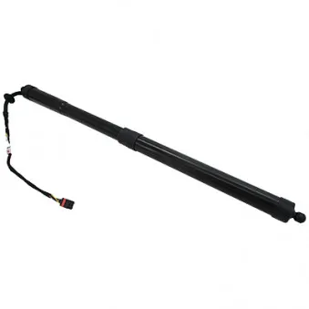 Vérin, étagère (coffre) HOFFER