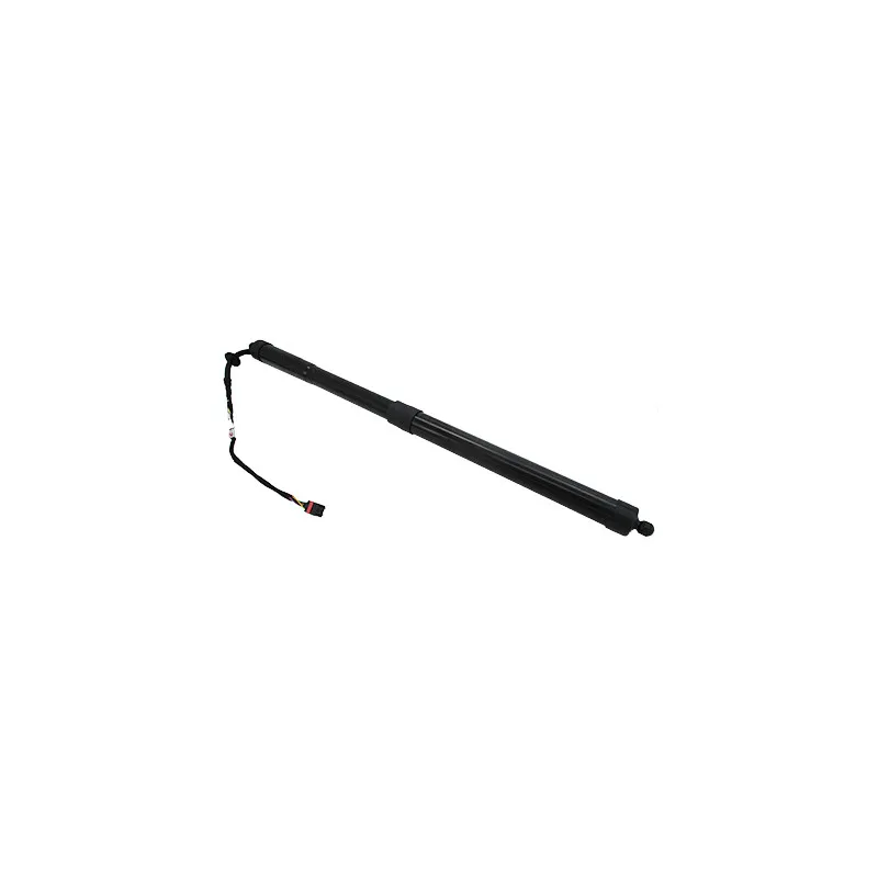 Vérin, étagère (coffre) HOFFER H301003