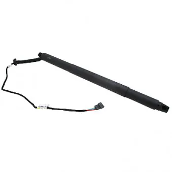 Vérin, étagère (coffre) arrière gauche HOFFER