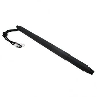 Vérin, étagère (coffre) arrière droit HOFFER