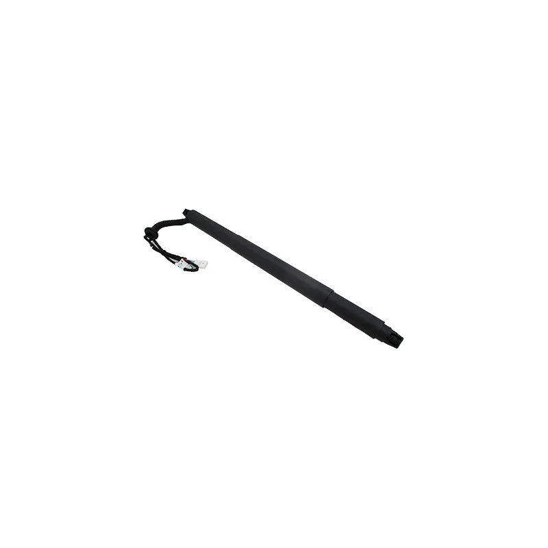 Vérin, étagère (coffre) arrière droit HOFFER H301006