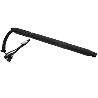 Vérin, étagère (coffre) arrière gauche HOFFER