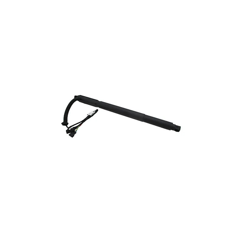 Vérin, étagère (coffre) arrière gauche HOFFER H301007