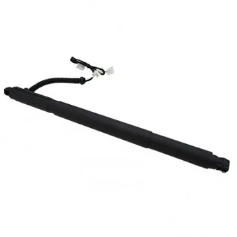 Vérin, étagère (coffre) HOFFER