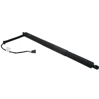 Vérin, étagère (coffre) arrière gauche HOFFER