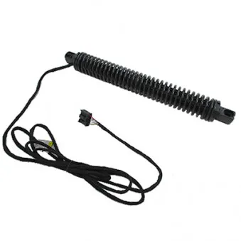 Vérin, étagère (coffre) arrière gauche HOFFER