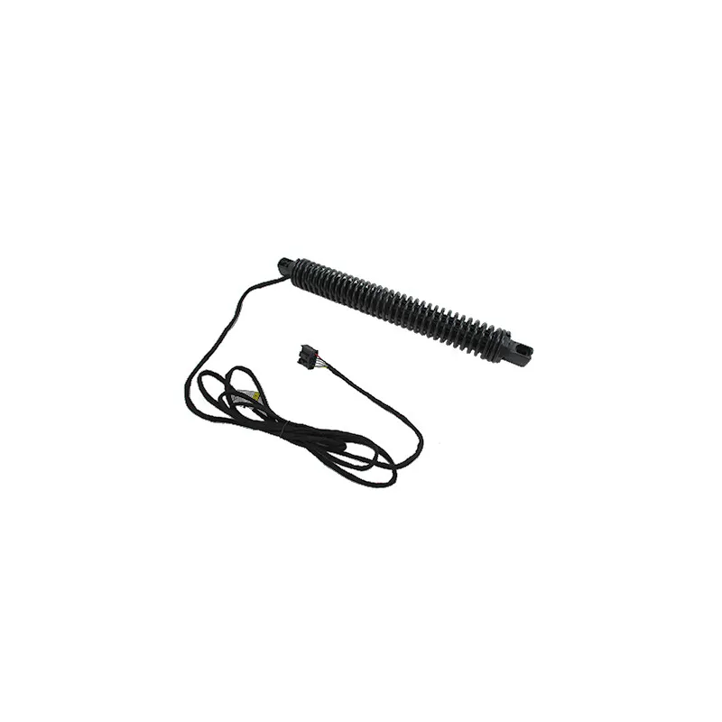 Vérin, étagère (coffre) arrière gauche HOFFER H301015