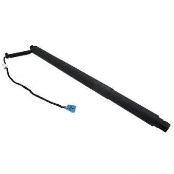 Vérin, étagère (coffre) arrière droit HOFFER