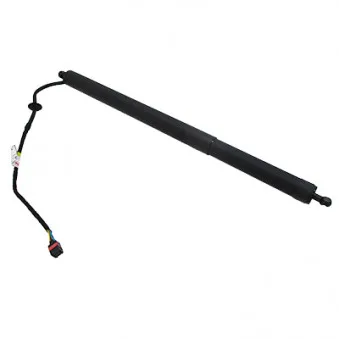 Vérin, étagère (coffre) arrière droit HOFFER