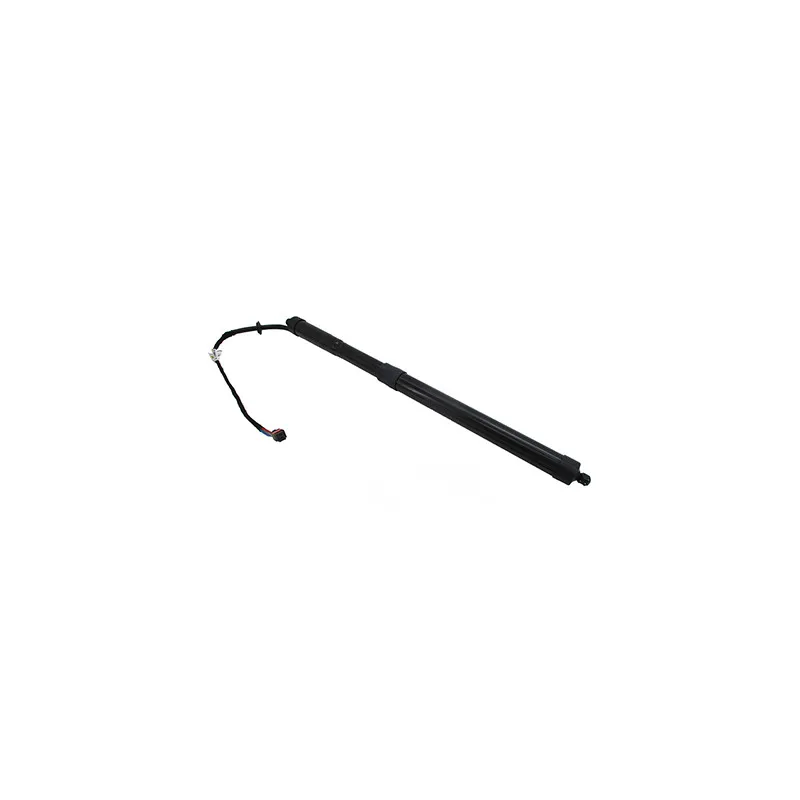 Vérin, étagère (coffre) arrière droit HOFFER H301028