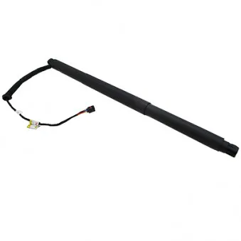 Vérin, étagère (coffre) arrière droit HOFFER