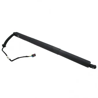 Vérin, étagère (coffre) arrière droit HOFFER