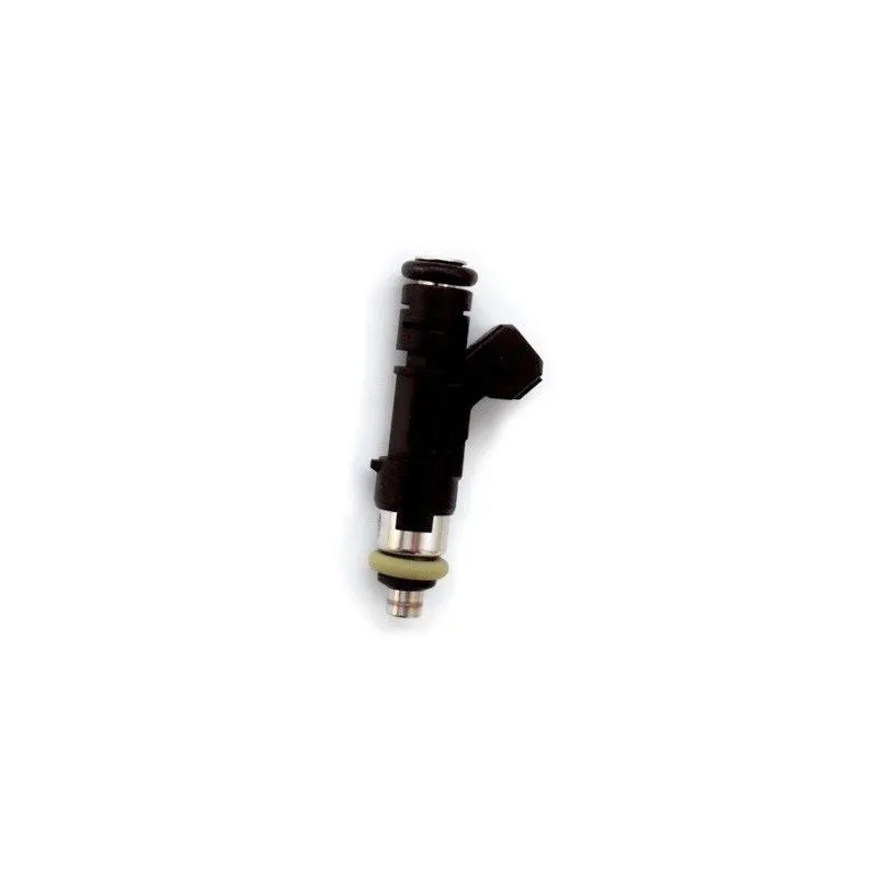 Injecteur HOFFER H75114200