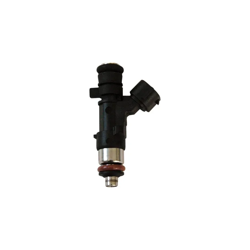 Injecteur HOFFER H75116057