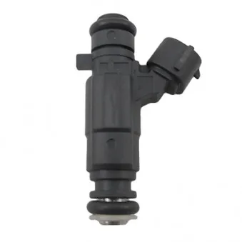 Injecteur HOFFER H75116127