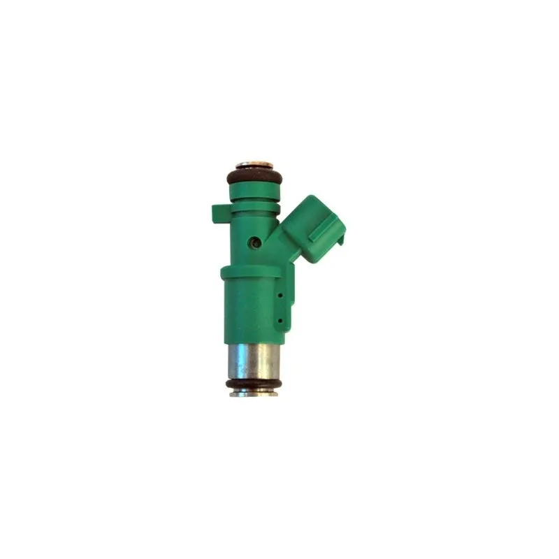 Injecteur HOFFER H75117167