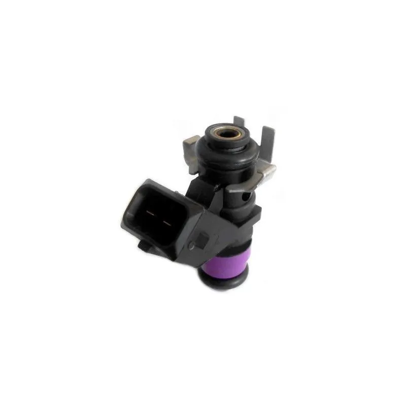 Injecteur HOFFER H75117223