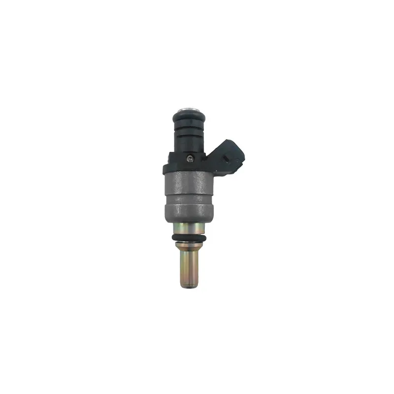 Injecteur HOFFER H75117813