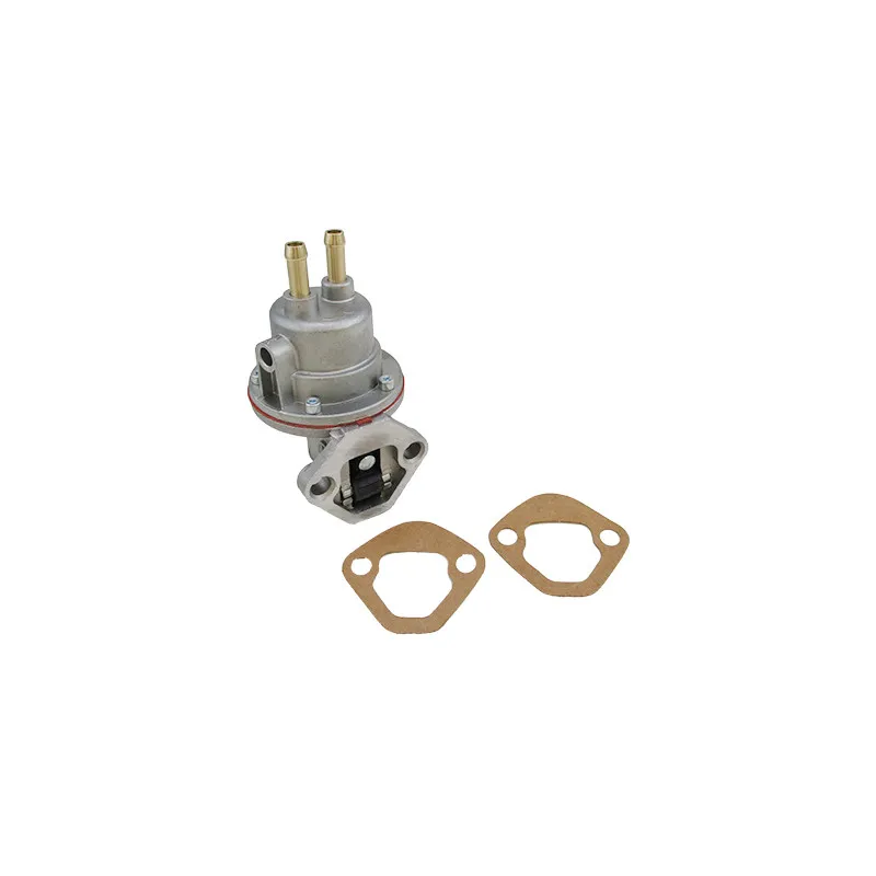 Pompe à carburant HOFFER HPOC087