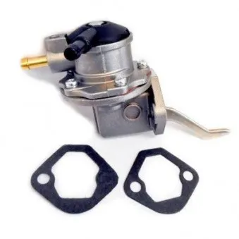 Pompe à carburant HOFFER HPOC088