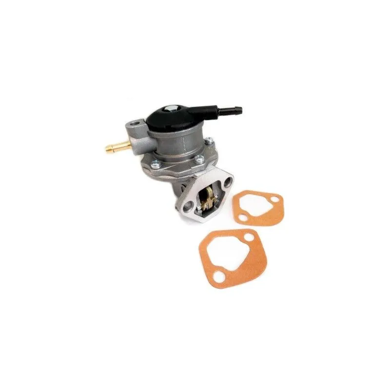 Pompe à carburant HOFFER HPOC099
