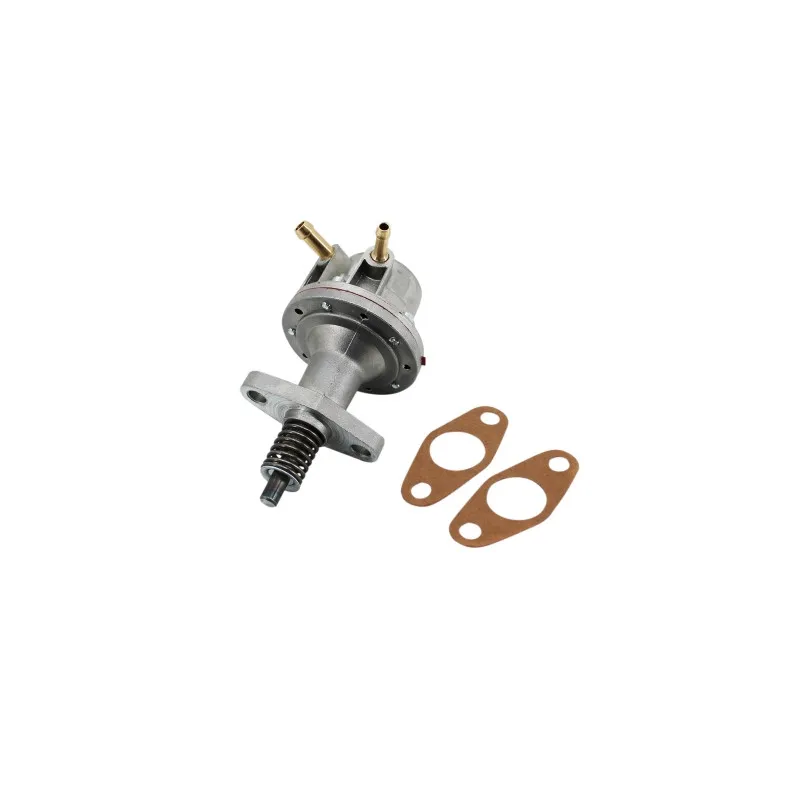 Pompe à carburant HOFFER HPOC308