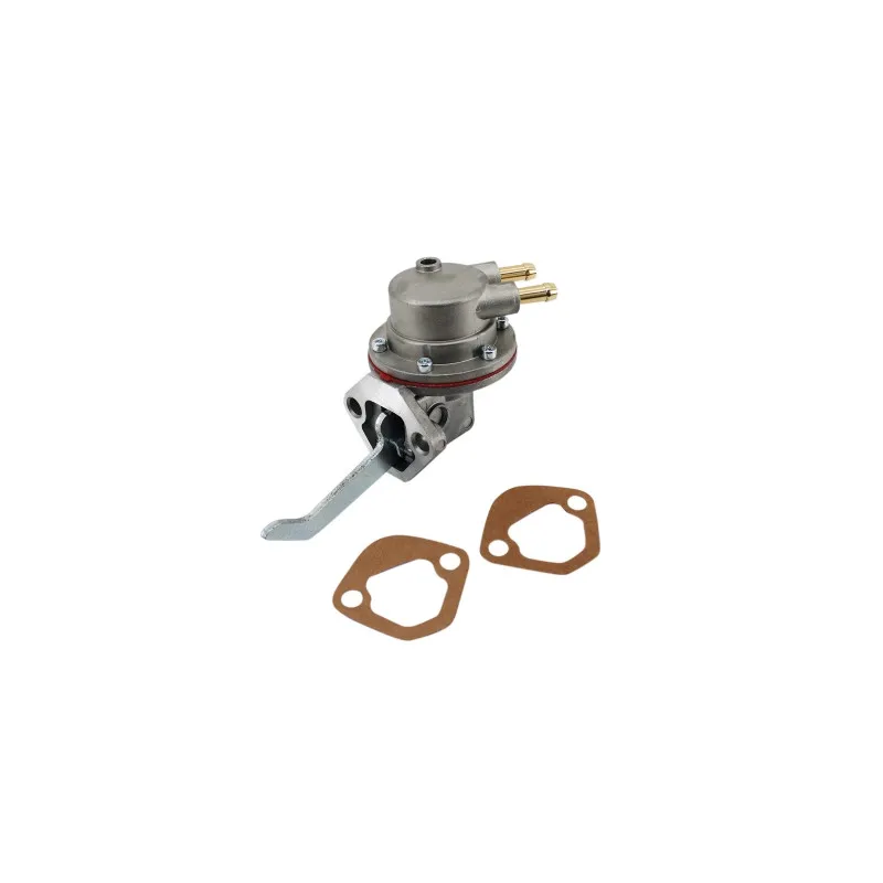 Pompe à carburant HOFFER HPOC642