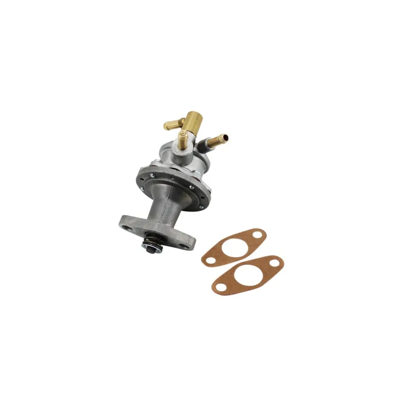 Pompe à carburant HOFFER HPOC694