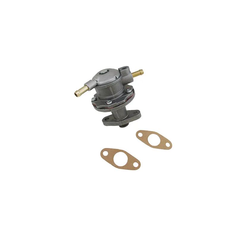 Pompe à carburant HOFFER HPOC704