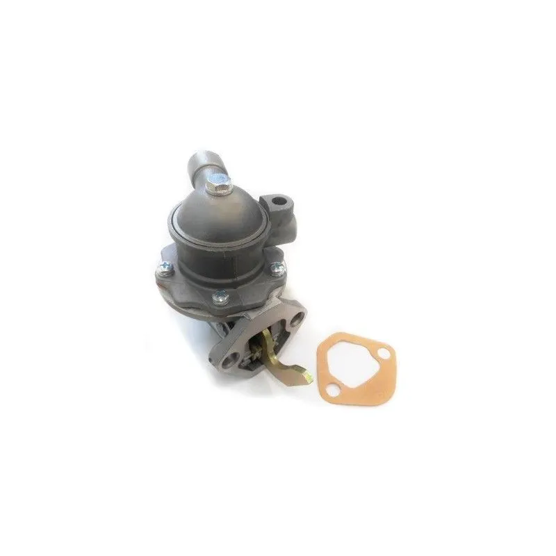Pompe à carburant HOFFER HPON102