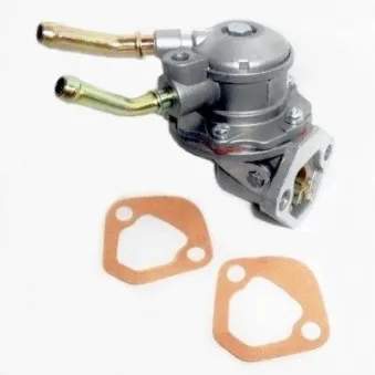 Pompe à carburant HOFFER HPON128