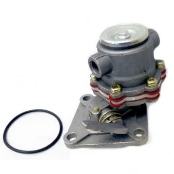 Pompe à carburant HOFFER HPON129