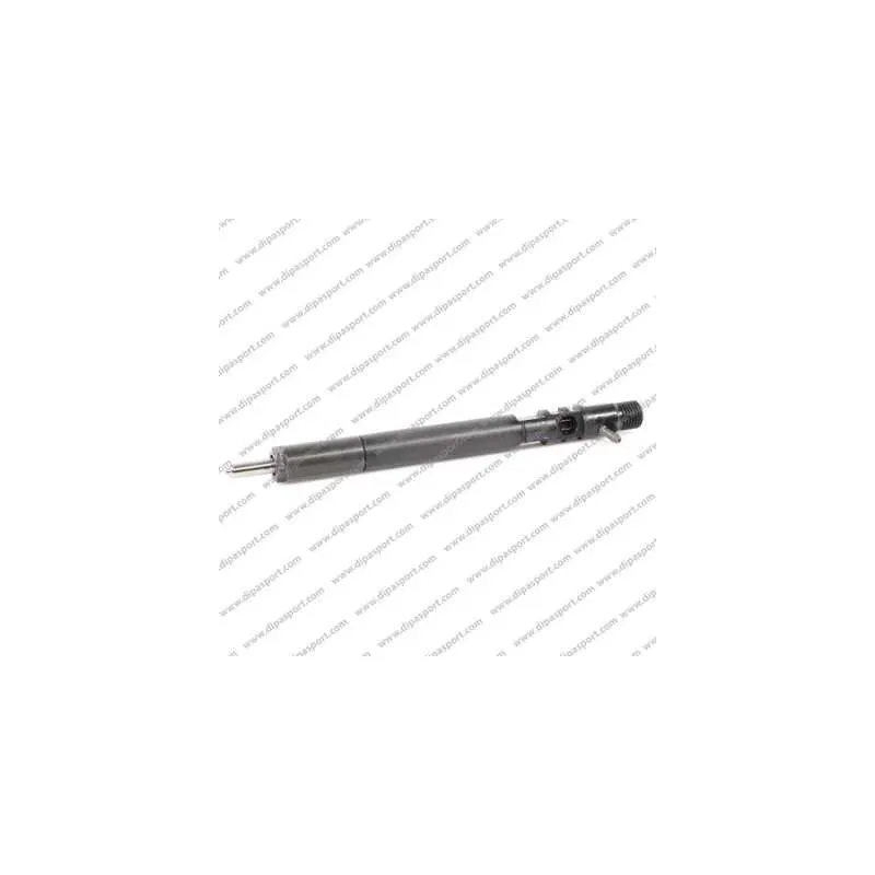 Injecteur DIPASPORT INJD167N