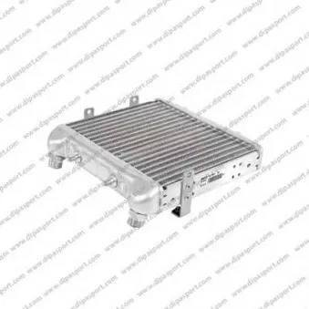 Radiateur d'huile DIPASPORT