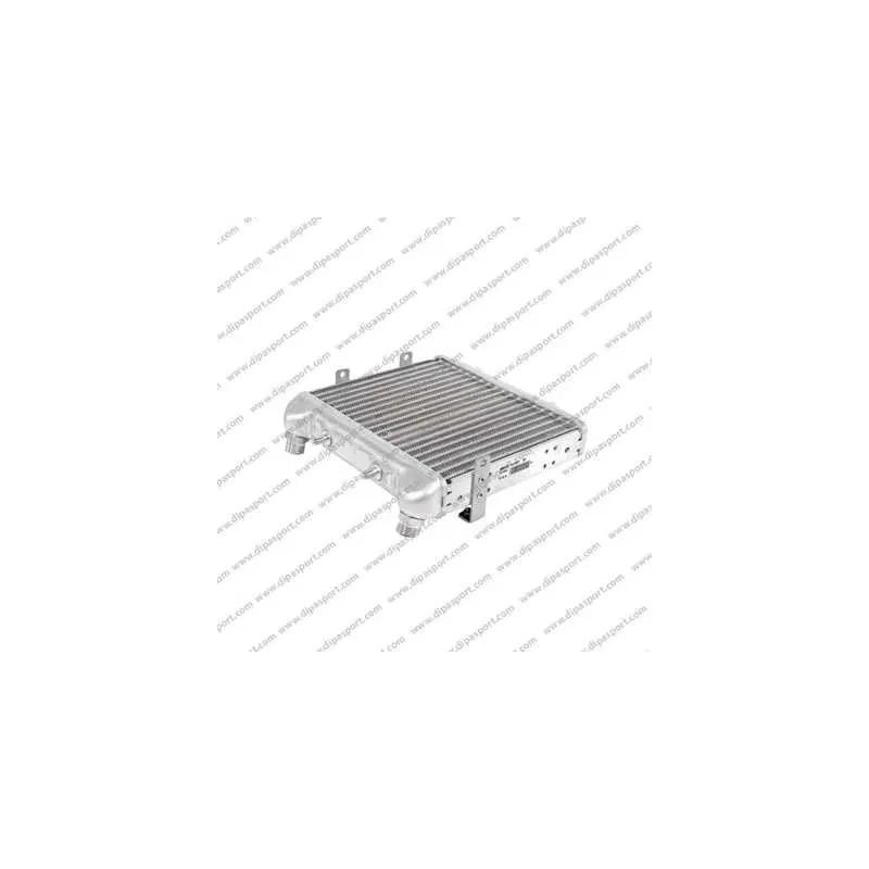 Radiateur d'huile DIPASPORT RAO067N