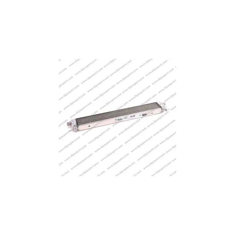 Radiateur d'huile DIPASPORT RAO106N