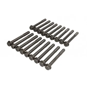 Jeu de boulons de culasse de cylindre PAYEN HBS194
