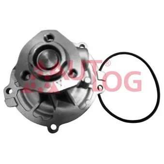Pompe à eau AUTLOG WP7020