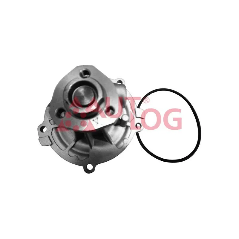 Pompe à eau AUTLOG WP7020