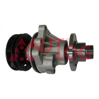 Pompe à eau AUTLOG WP7035