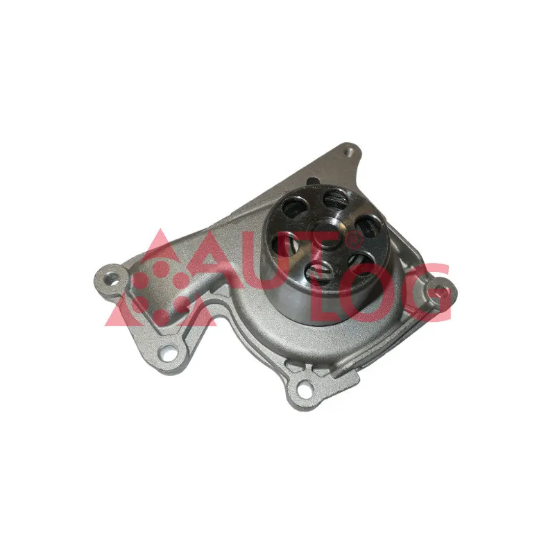Pompe à eau AUTLOG WP7111