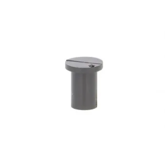 Bouchon, carburant de fuite ENGITECH ENT250001