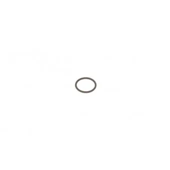Bague d'étanchéité, porte-injecteur ENGITECH ENT250245
