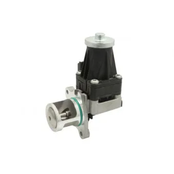 Vanne EGR ENGITECH ENT500111