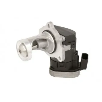 Vanne EGR ENGITECH ENT500144