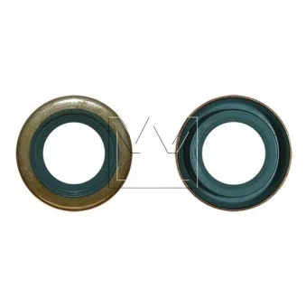 Bague d'étanchéité système SPI, pompe d'injection MONARK 49 338 310