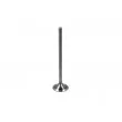 Soupape d'admission PARADOWSCY PMER106 - Visuel 1