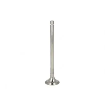 Soupape d'échappement PARADOWSCY PCIT027